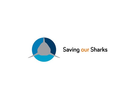 Logo_ST