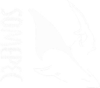 logo-INV